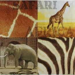 Animais e Peles  - Africa (187)
