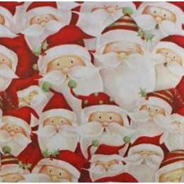 Guardanapo Rostinho de Papai Noel (462)