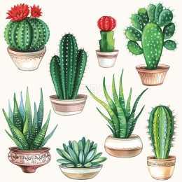 Guardanapo Cactus em Vasos, fundo Branco (103)