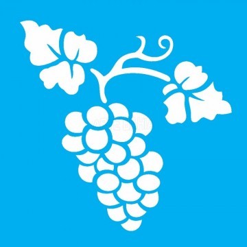 Stencil de Acetato OPA...