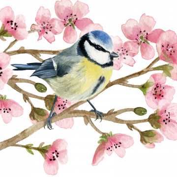 Guardanapo Pássaro e...