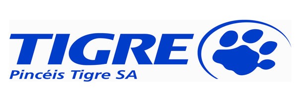 Pinceis Tigre